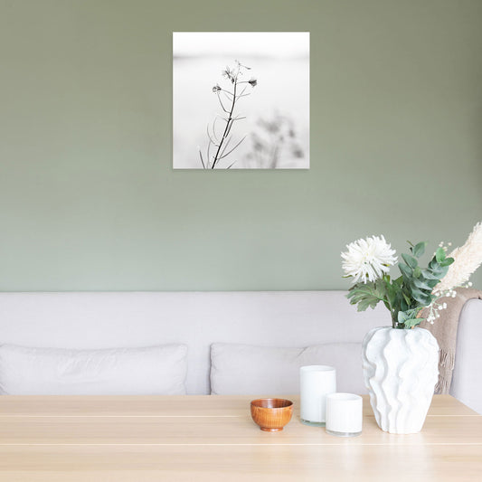 Blomst - 1 sort/hvid