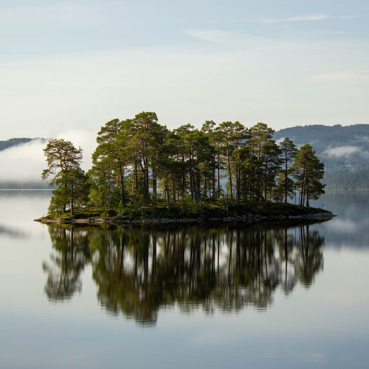 Øy i ferskvann - 1